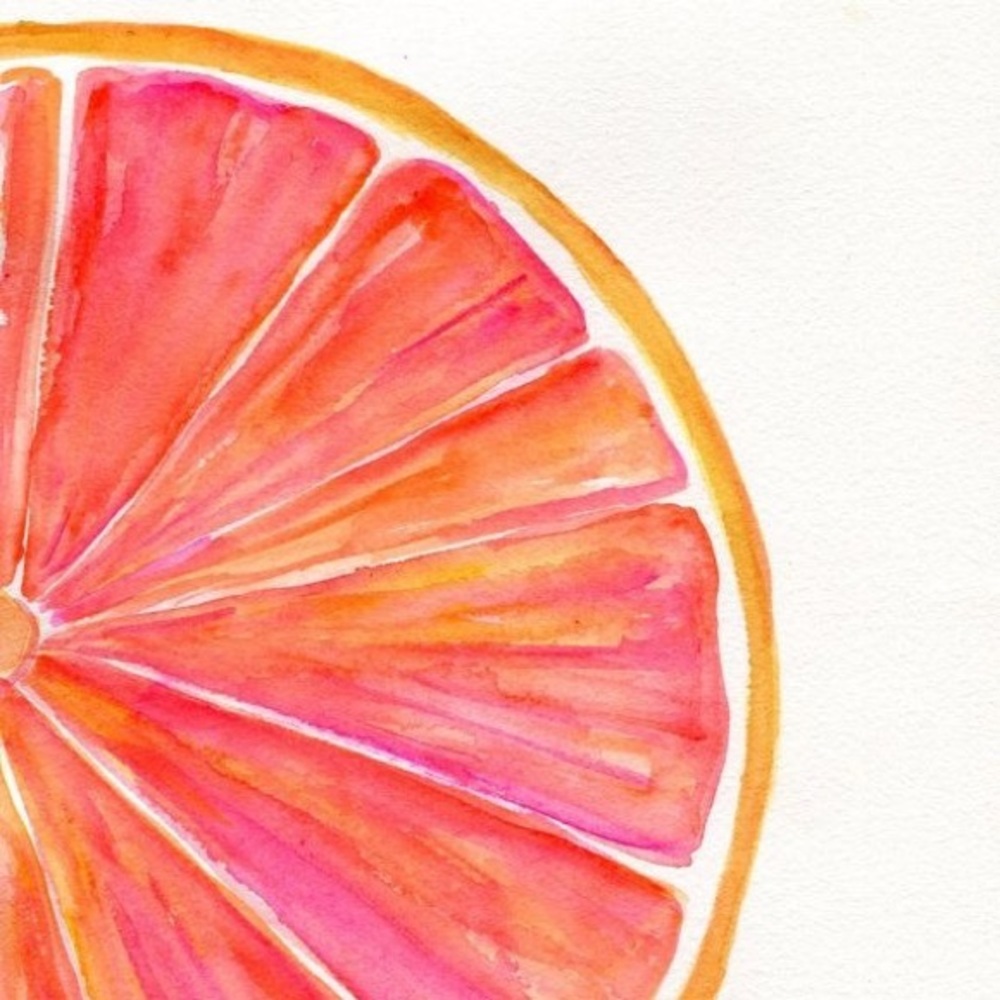 Meet your Posher, Scout